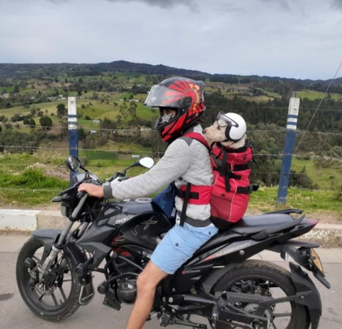 Morral Para Perro Sobre Medida Todo Tamaño 