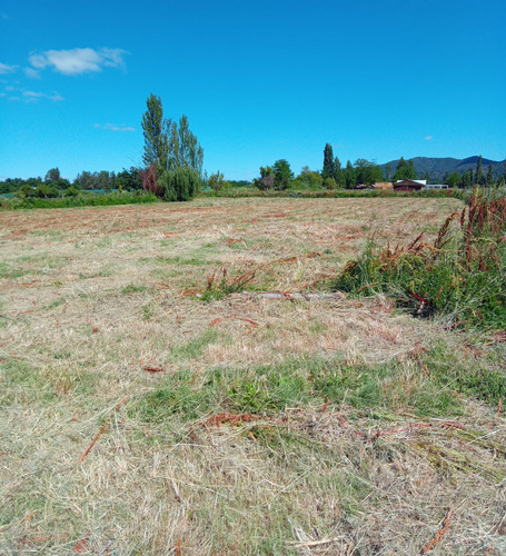 Parcela 5250m2 Rol Propio Las Cabras