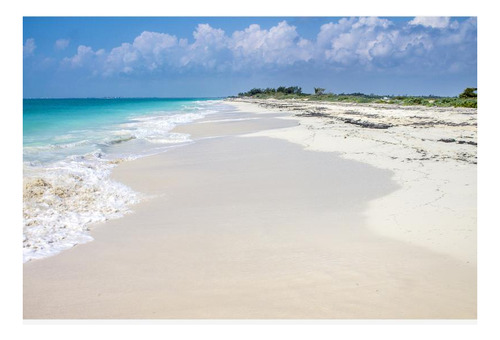 Imagen 4 de 5 de Terreno En Venta En Isla Blanca