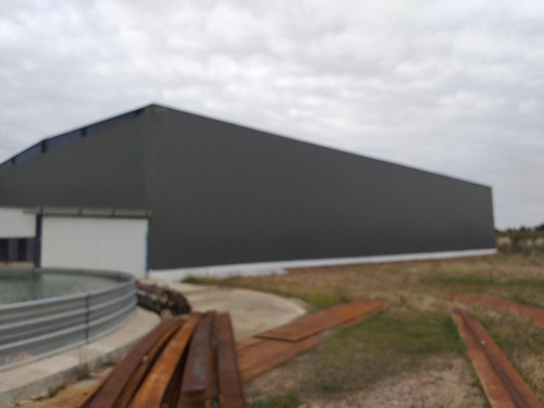 Imagen 15 de 24 de Alquiler Y Venta Galpon Nave Industrial Deposito Ruta 5 Km 23,500