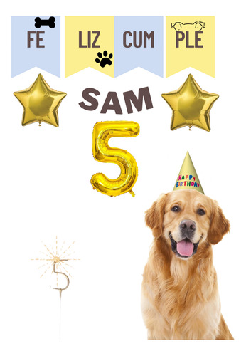 Kits De Decoración Cumpleaños Perro