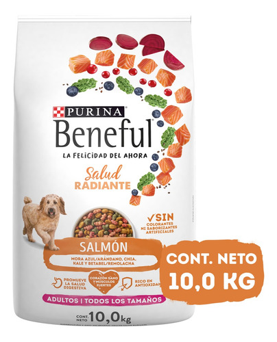 Alimento seco Beneful Salud Radiante adulto sabor salmón 10kg