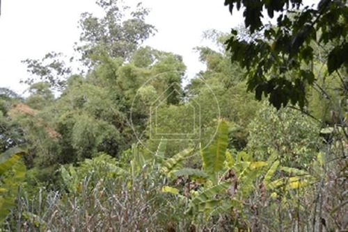 Imagem 5 de 11 de Terreno - Ref: 493988