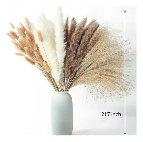 Decoración Seca Natural Capim Dos Pampas Plumas Con