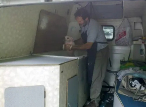 Imagen 4 de 5 de Peluqueria Canina Móvil Washcan