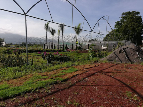 Terreno Urbano En Pedregal De Las Fuentes, Jiutepec, Morelos - Ari-607-tu