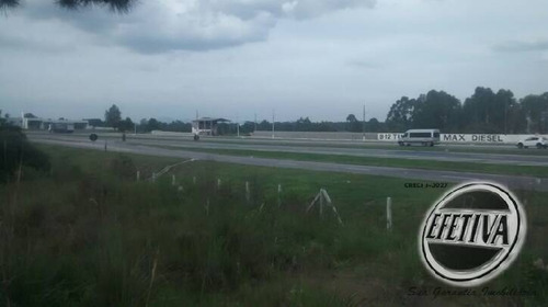 Imagem 15 de 15 de Área Industrial 26.472m² - Bairro Costeira - São José Dos Pinhais - Pr - 968t