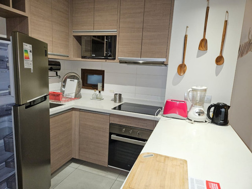 Departamento En Exclusivo Condominio Parque Pinares, Pucón