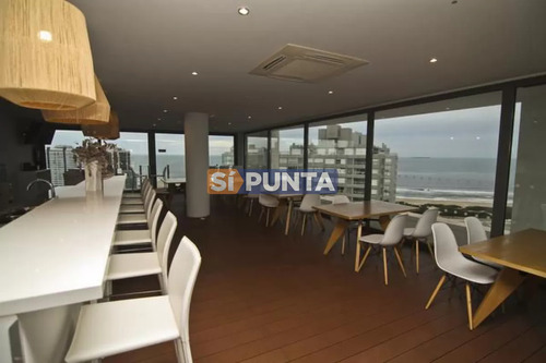 Torre De Alta Gama. Atardeceres Únicos Con Amenities Exclusivos.