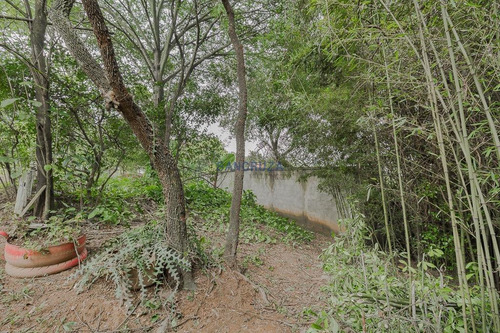 Imagem 6 de 13 de Lote / Área / Terreno À Venda, Granja Vista Alegre - Contagem/mg - 26952