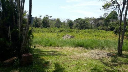 Imagem 9 de 14 de Chácara Com 5.050m², Com 02 Dormitórios Em Itanhaém/sp