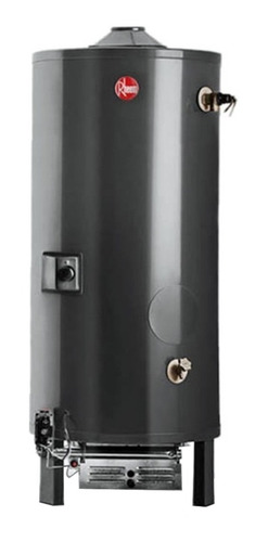 Imagen 1 de 1 de Termotanque a gas natural Rheem Comercial CTP250 gris oscuro 250L