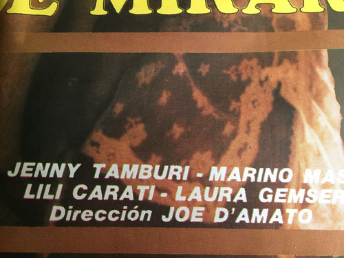 Poster Peep Show Deseos De Mirar -dir Damato 1986 (Usado)