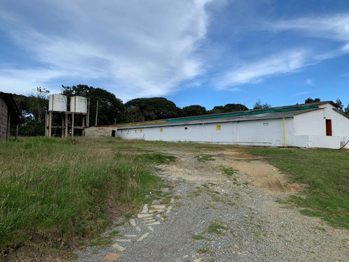Imagen 3 de 30 de Vendo Finca Ganadera 66 Cuadras Alto Boquerón