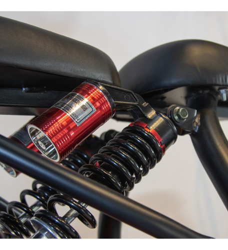 Moto Eléctrica Gaf Eco 2000 Fr Hidráulico Suspen. Delantera