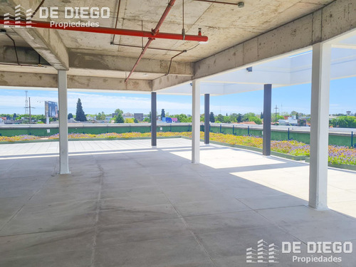 Oficinas En Alquiler 1060 M2 En Edificio Lumina Thames San Isidro, Certificacion Leed Green Building