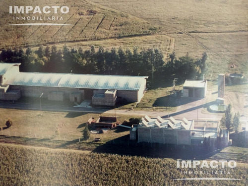 Nave Industrial En Venta - Lobos
