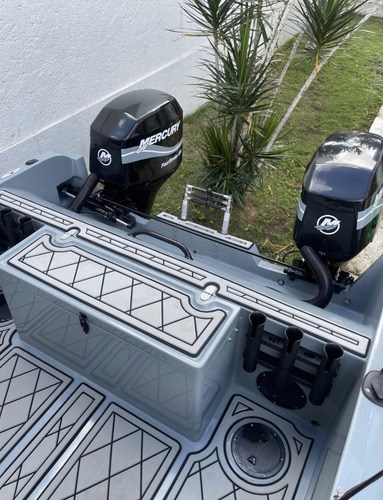 Catamaran Motoryacht 21 Pies