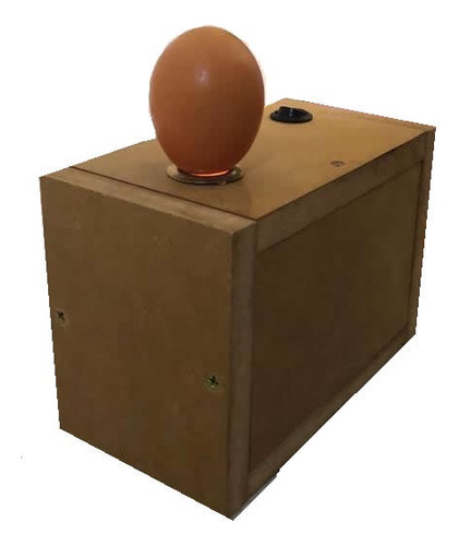 Incubadora De Huevos + Ovoscopio! Imperdible