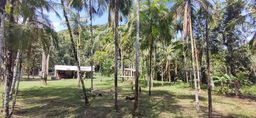 Imagem 13 de 18 de Miracatu /bela Chácara Plana C/riacho/só R$ 90 Mil/oportunidade/ref:05367