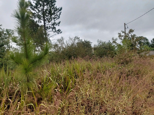 Imagem 3 de 15 de Lindo Terreno Ibiuna 1.250 Mts 500 Mts Da Represa Escritura