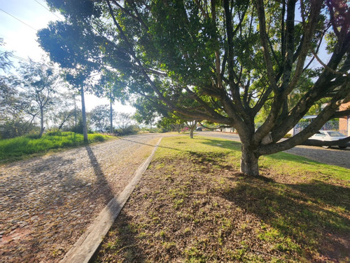 Venta Lote San Diego 152 Mz Xiii Con Todos Los Servicios, Vistas Panorámicas, Proyecto Arquitectónico Incluído En Av Principal Fracc Rancho San Diego Ixtapan De La Sal Edomex