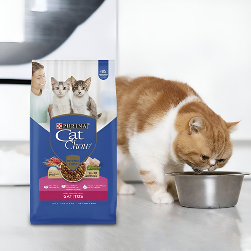 Cat Chow Gatitos 24 Kilos