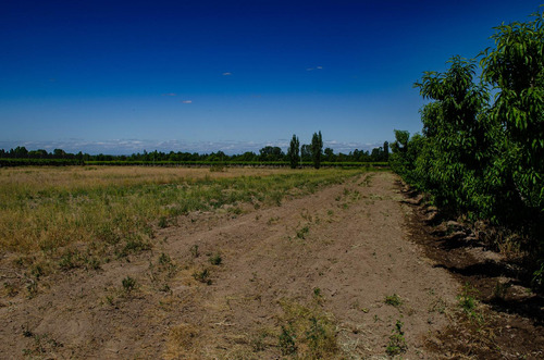 Finca En Venta En Tunuyán