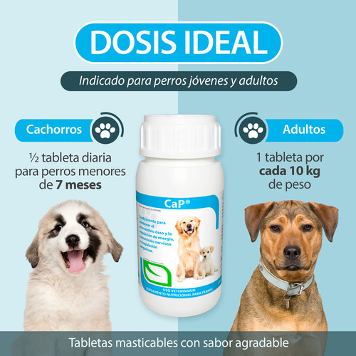 Pack 2 Ca-p Ruiland Vitaminas Minerales Perro 120 Tabletas