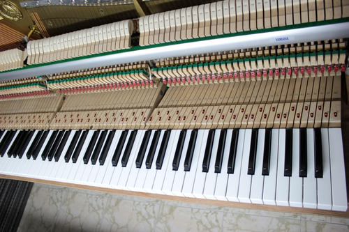 Imagen 6 de 10 de Bogotá Piano Workshop: Afinación Reparación Pianos Acústicos