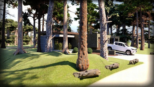 Imagen 5 de 9 de Terreno Con Proyecto En Carilo