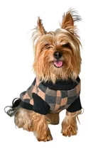 Comprar Ropa Suéter Sudadera Perro \u002F Gato Razas Miniatura Zooeters