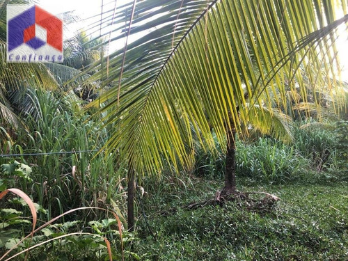 Terreno À Venda No Bairro Vila Velha Em Fortaleza/ce - Te0047