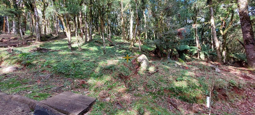 Imagem 1 de 16 de Terreno A Venda - 1086