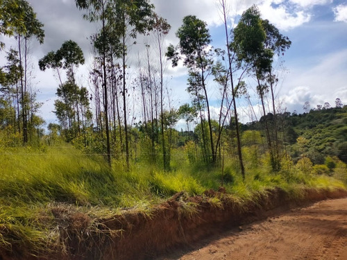 Imagem 9 de 11 de Lotes E Sítios Próximo A Represa Cd. Phg