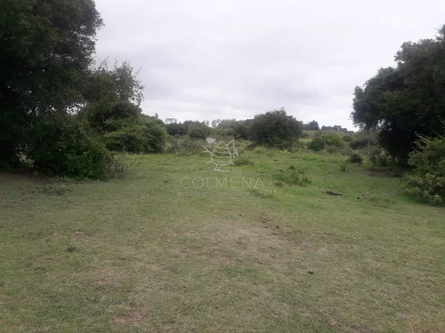 Campo De 5 Has Con 5891 M2