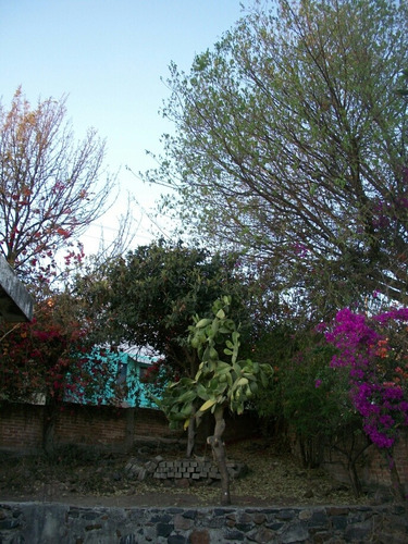 Casa Con Terreno
