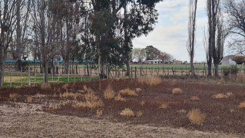 Venta Finca 51ha Con Dos Pozos Lujan