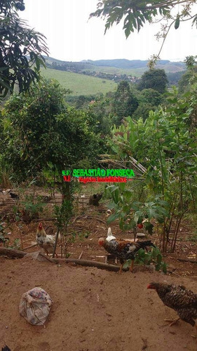 Imagem 10 de 11 de Chácara Dois Dormitórios, Lado Represa, A Venda Em Paraibuna - 899