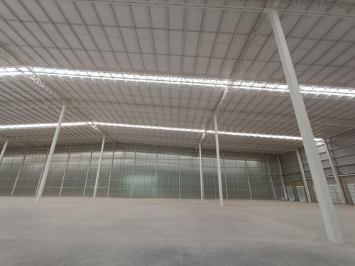 Nave Industrial En Renta En Apaseo Guanajuato 6,000 M2