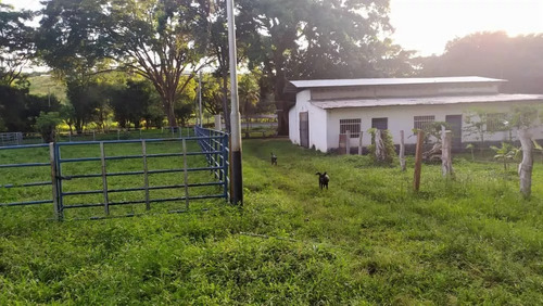 Venta Granja Integral Productiva Avicola Ganadera Y Minera Tinaquillo Edo. Cojedes Negociable Con Financiamiento Jm