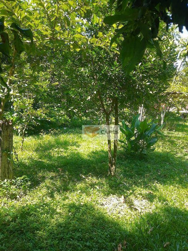 Imagem 8 de 30 de Chácara Com 6 Dormitórios À Venda, 2070 M² Por R$ 690.000,00 - Chácaras Bocaiúva Nova - Campinas/sp - Ch0120