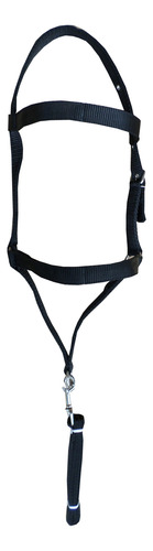 Cabresto De Cavalo Fita Comum