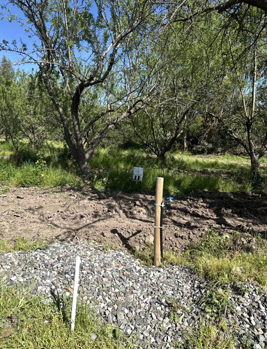 Acceso Sur- Rio Maipo- Curihue/ -parcela Con Luz Y Agua Inst