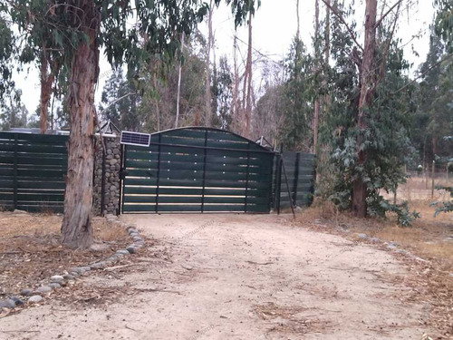 Parcela En Foresta De Zapallar 22 (64350)