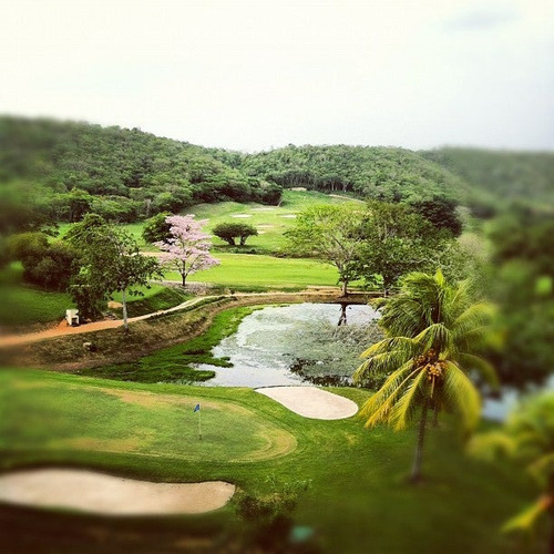 Se Vende Accion Barquisimeto Golf Club