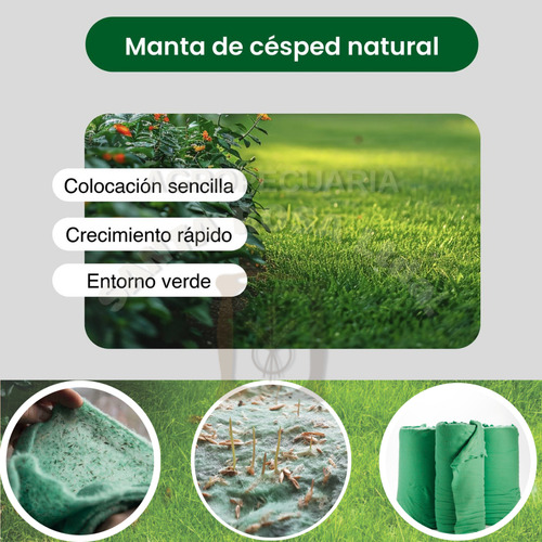 Cesped Manta Ecologica Con Semillas En Rollo 25 M2
