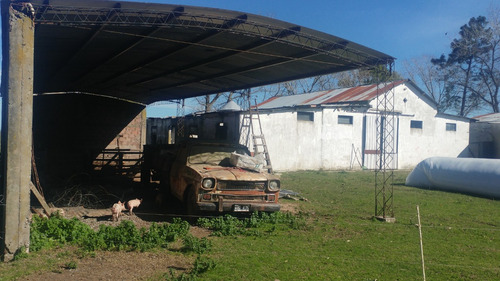 Imagen 8 de 14 de Campo Mixto, Ideal Haras Ptdo Punta Indio