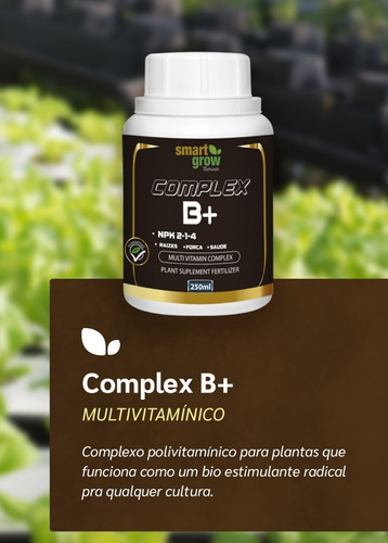 Imagem 3 de 5 de Fertilizante Smartgrow Complex B+ 250ml Mais Saúde