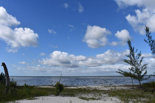 Imagen 5 de 10 de Terreno En Venta Isla Blanca En Laguna Chacmuchuc Cancún